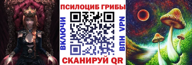 где купить наркоту Дмитровск Галлюциногенные грибы Magic Shrooms
